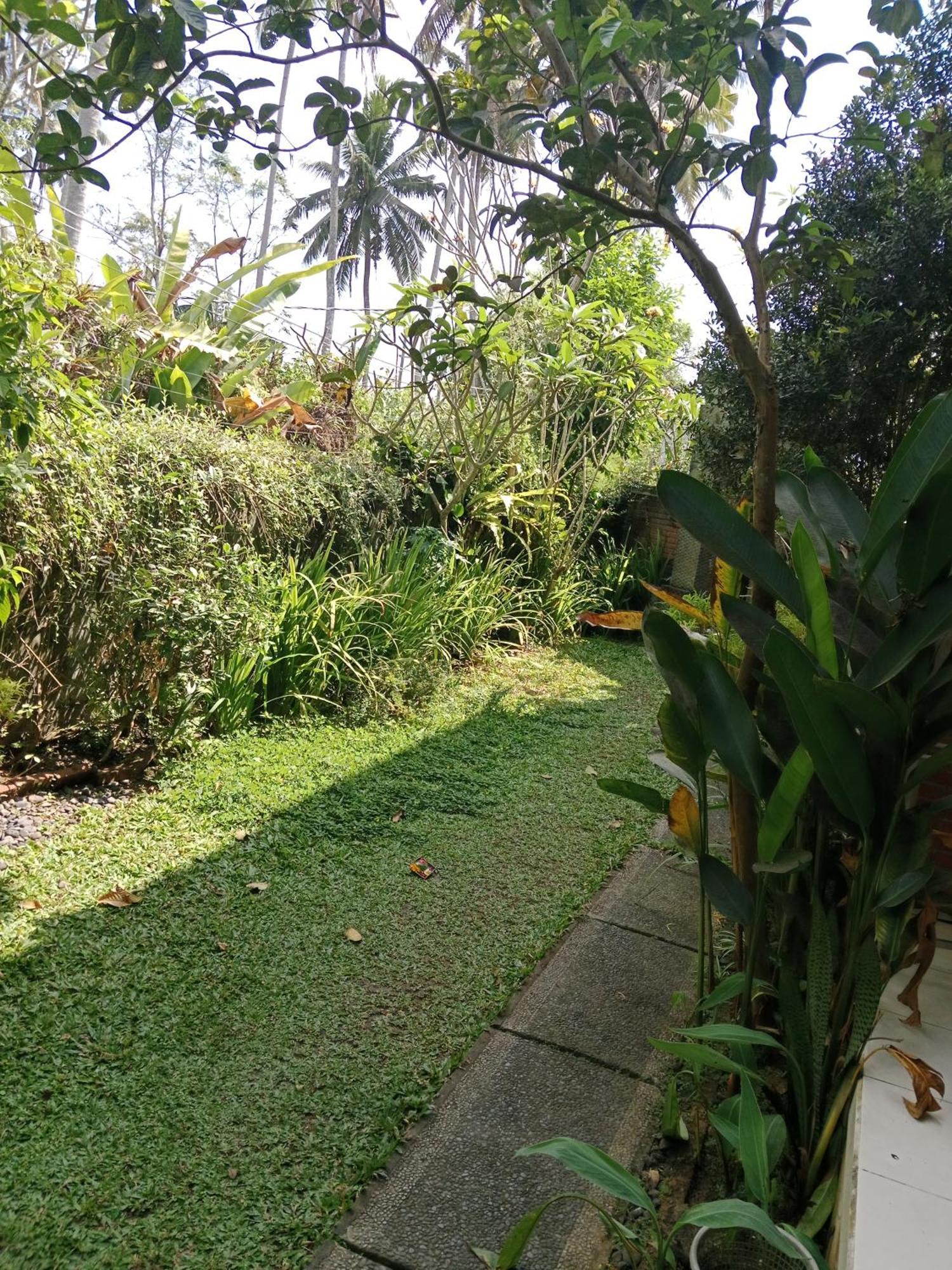 Sunrise Coconut House Hotel Ubud Kültér fotó